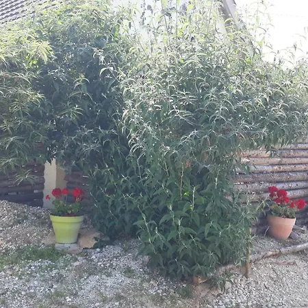 Prehistogite Dom wakacyjny *