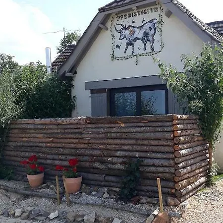 Prehistogite Casa de Férias