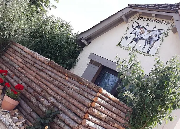 別荘 Prehistogite *