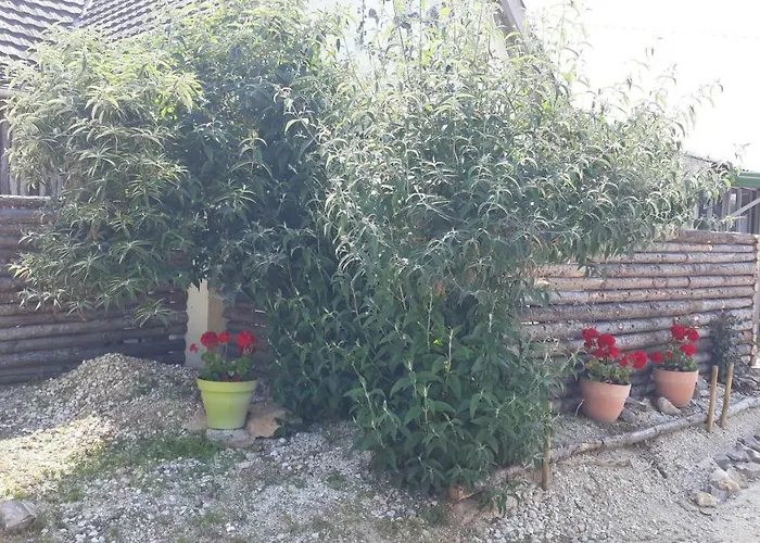 Prehistogite 別荘 *